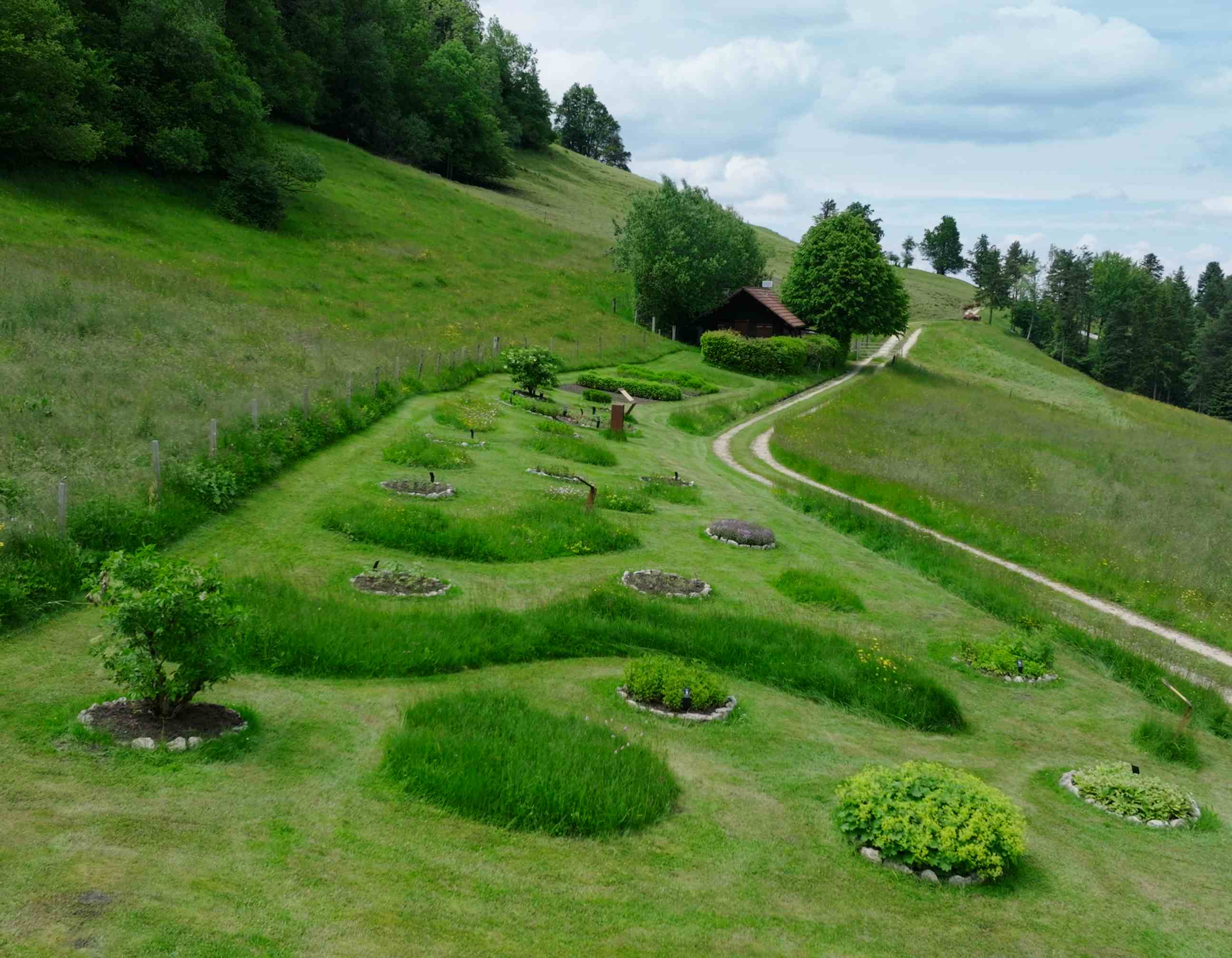 Herb Garden Trogberg